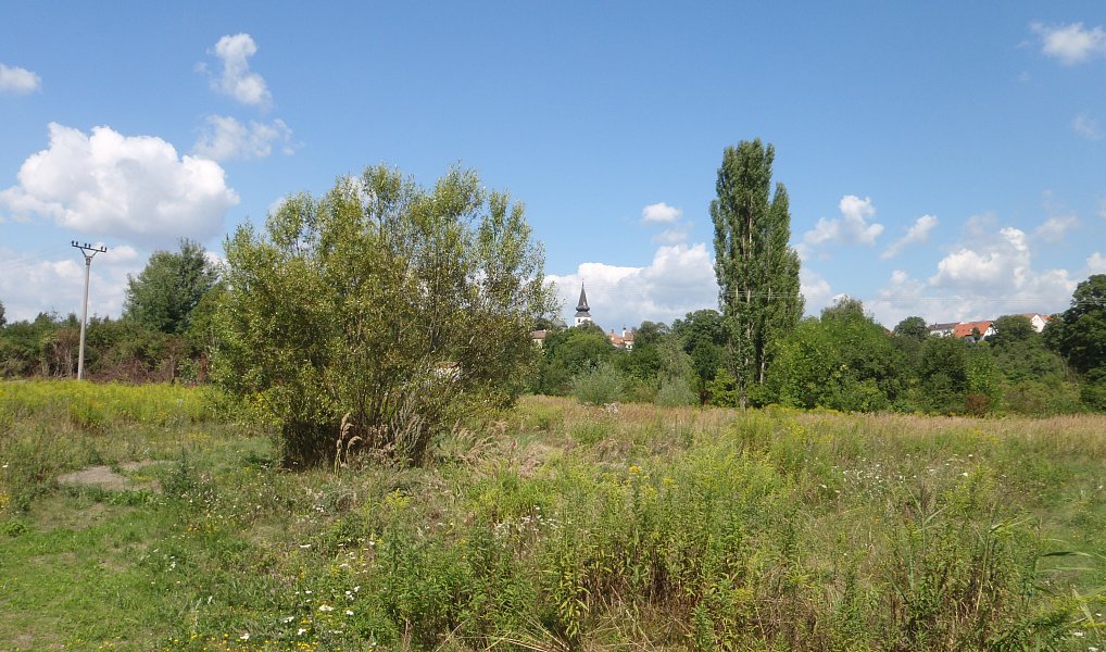Prodej louky 8 401 m², Kosmonosy – náhled fotky 7