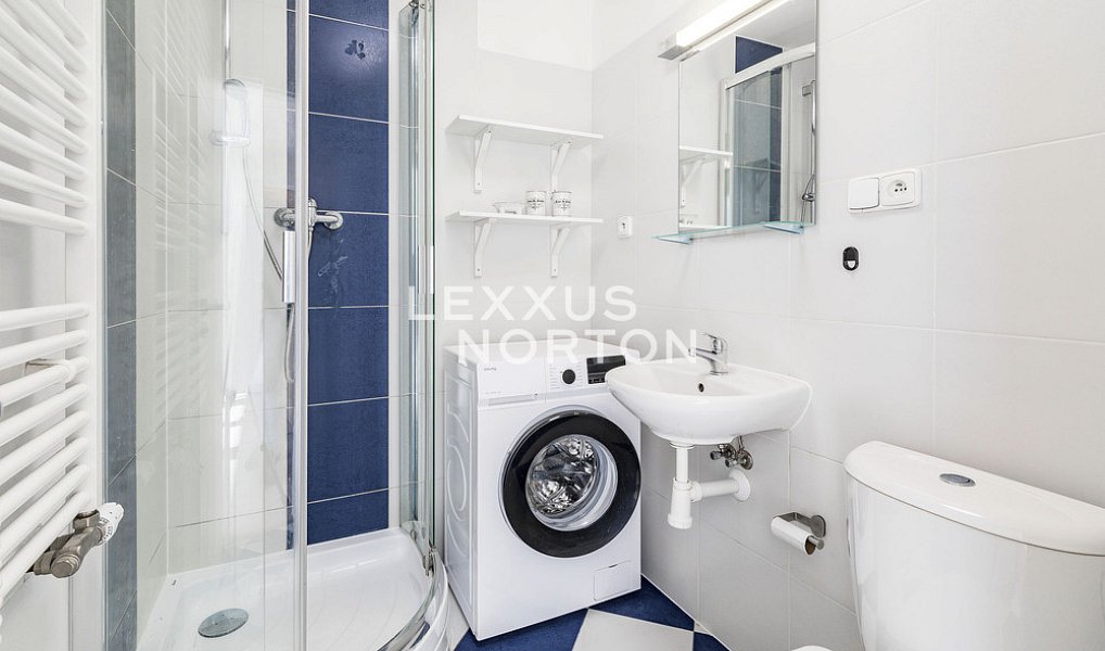 Pronájem bytu 1+kk 35 m², Praha – náhled fotky 4