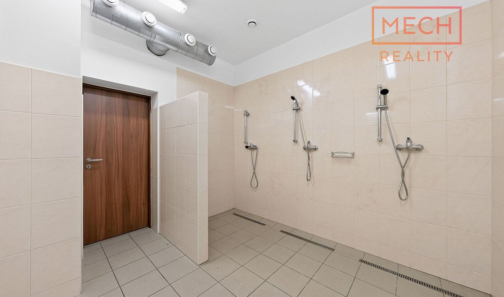 Prodej výrobních prostor 1 347 m², Bzenec – náhled fotky 16