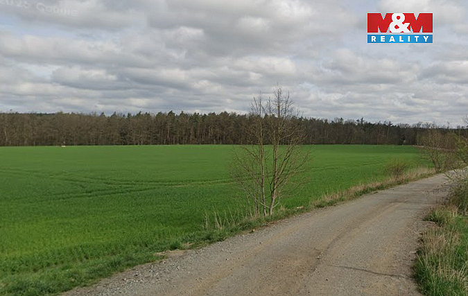 Prodej lesa 3 590 m² — photo 5