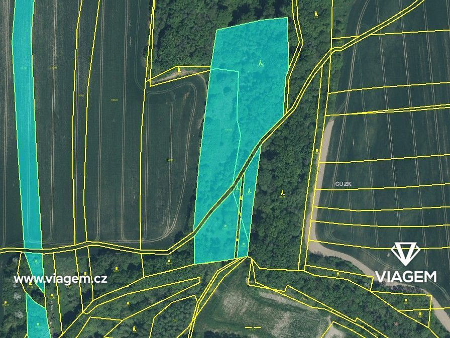 Pole 6 923 m², Podíl 67 % o výměře 4 615 m² – pohled 3