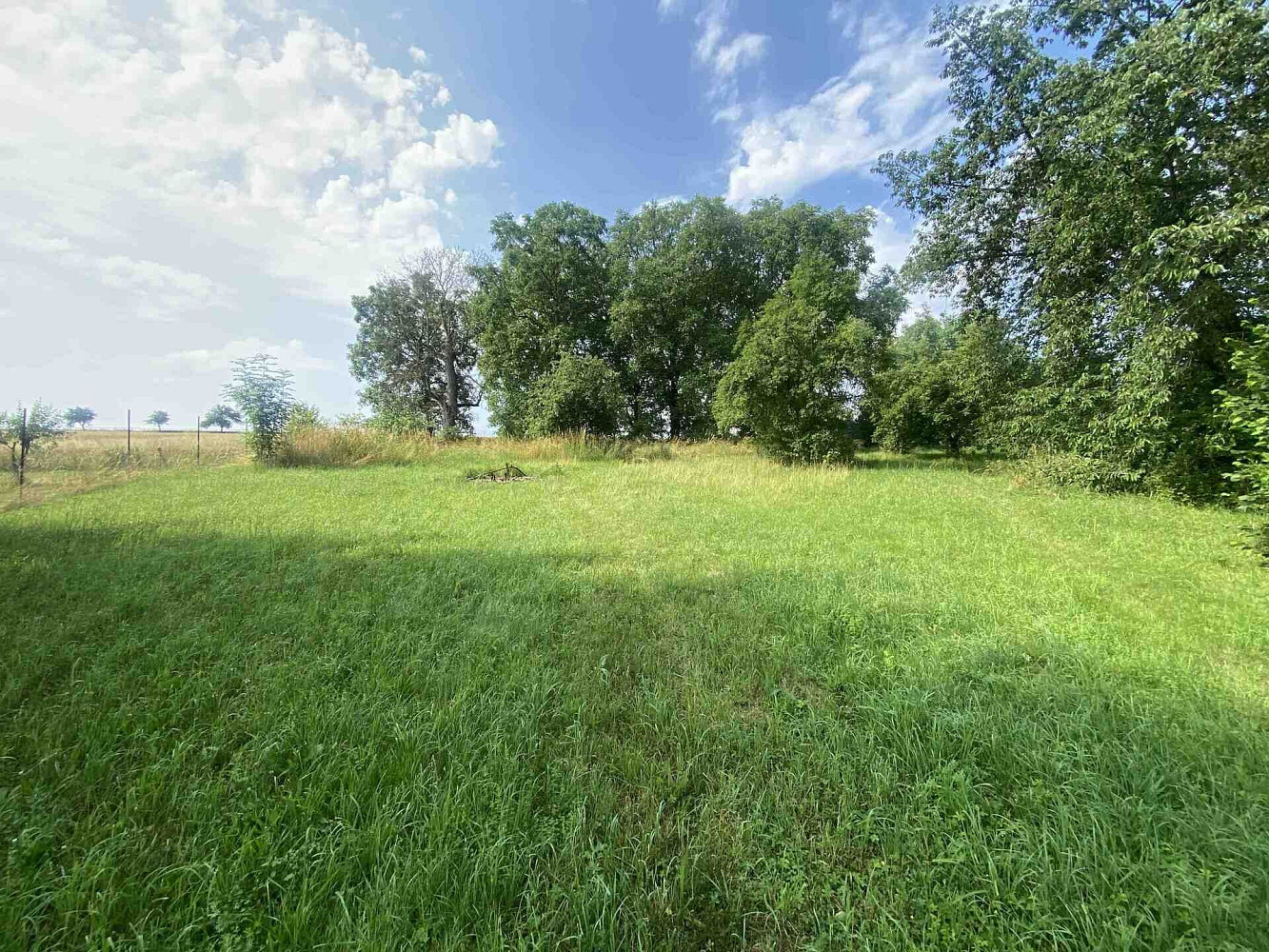 Prodej stavebního pozemku 2 458 m² – fotografie 5