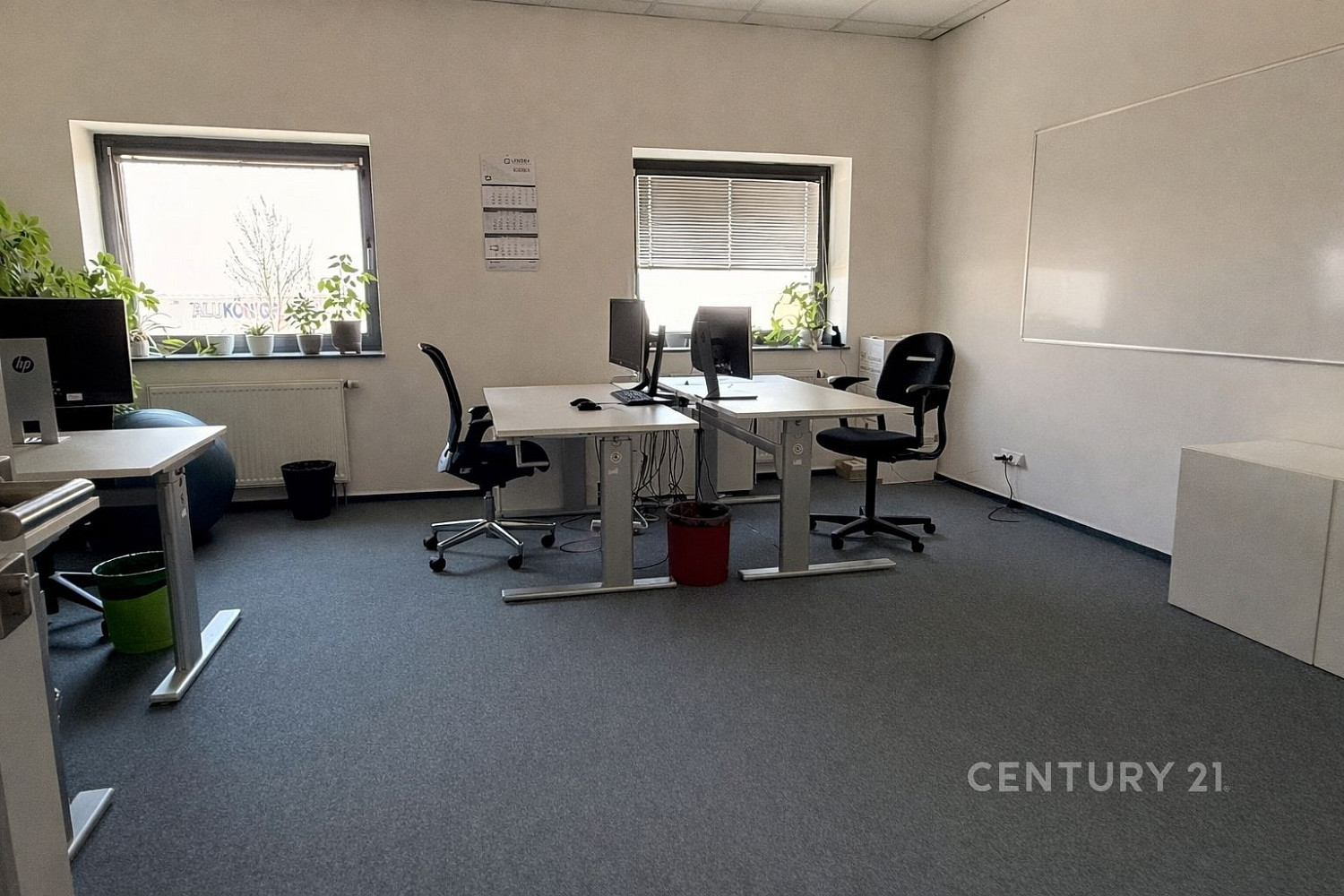 Pronájem kanceláře 450 m² – fotografie 2