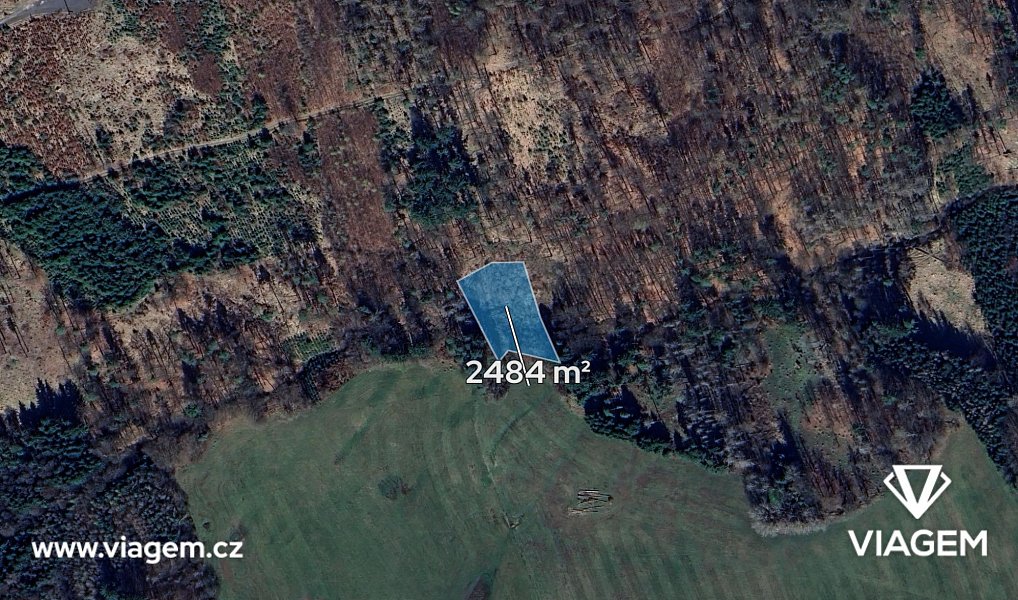 Prodej lesa 2 484 m², Stříbrná Skalice – náhled fotky 2