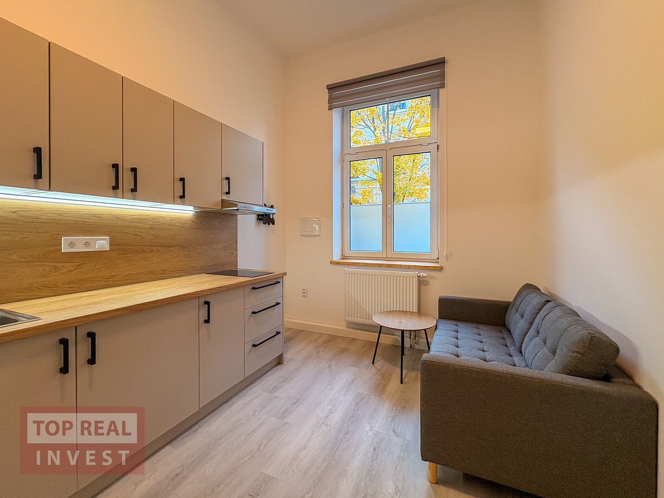 Pronájem bytu 1+kk 15 m² – další