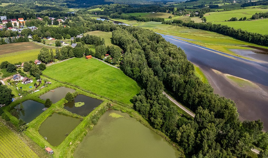 Prodej pozemku 9 752 m², Nová Pec – náhled fotky 9