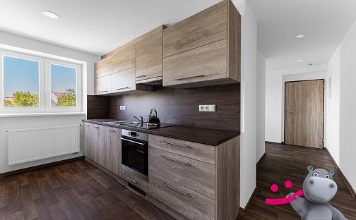Pronájem bytu 1+1 47 m², Třešňové sady, Holešov, okres Kroměříž