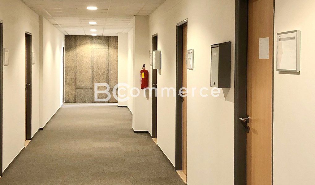 Pronájem kanceláře 37 m², Brno – náhled fotky 2