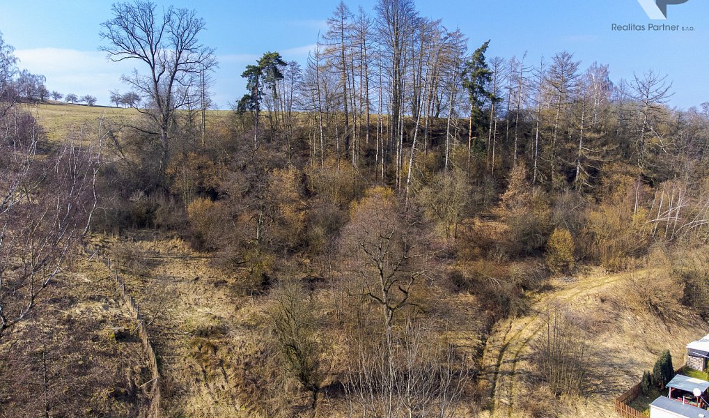Prodej stavebního pozemku 3 388 m², Luka nad Jihlavou – náhled fotky 12
