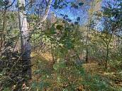 Prodej pozemku 449�m2