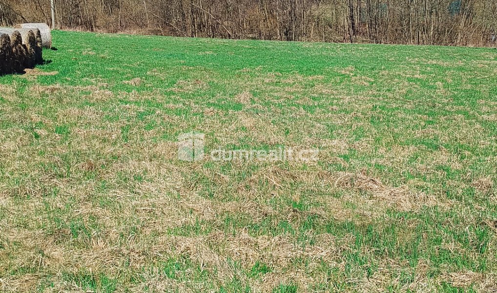 Prodej stavebního pozemku 1 246 m², Heřmanov – náhled fotky 4