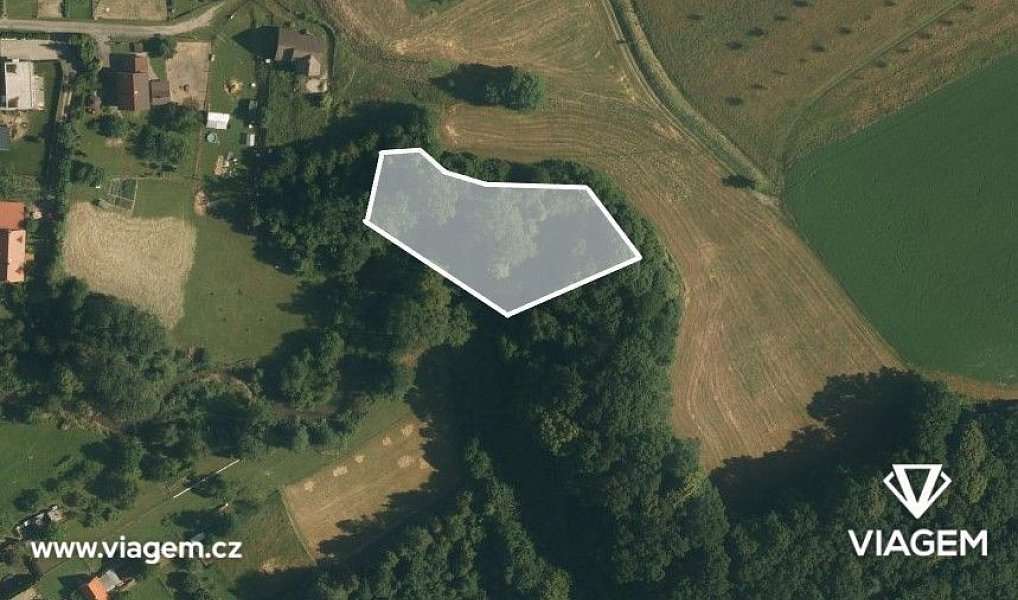 Prodej lesa 1 840 m², Sedlnice – náhled fotky 2