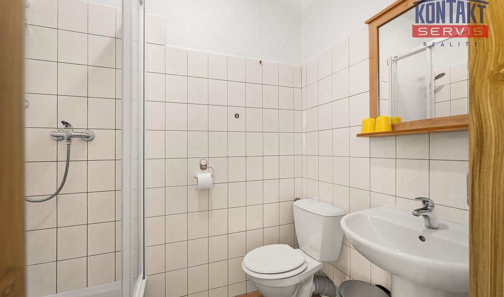 Prodej domu 660 m² s pozemkem 971 m², Stachy – náhled fotky 25