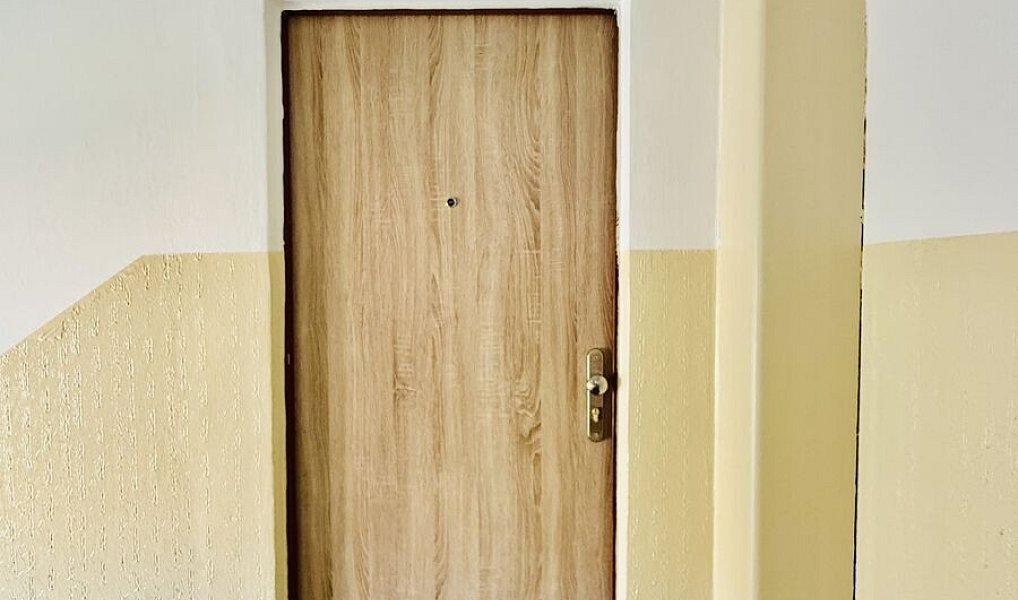 Prodej bytu 2+1 50 m², Plzeň – náhled fotky 15