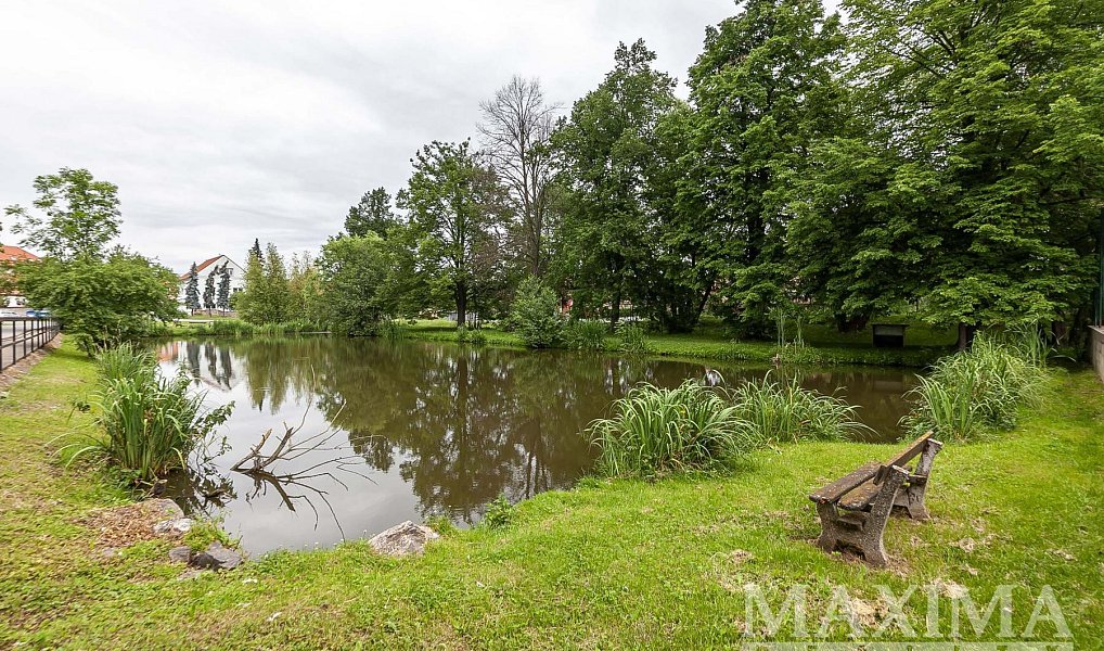 Prodej stavebního pozemku 1 208 m², Číčovice – náhled fotky 7