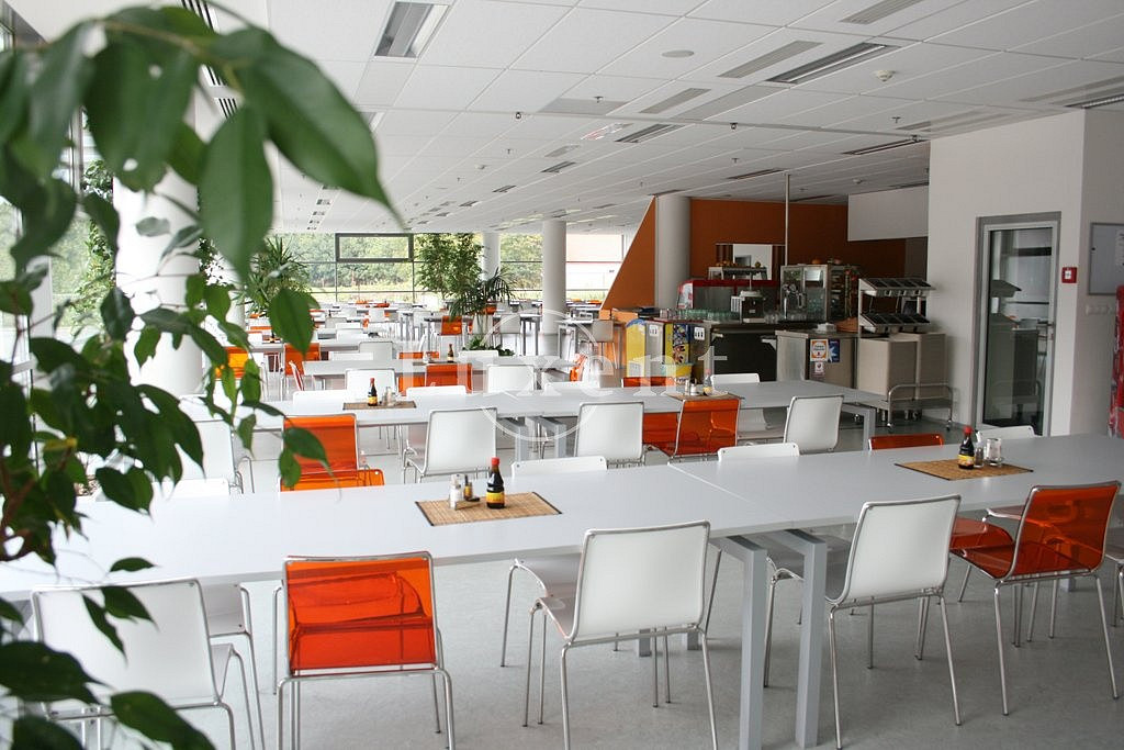 Pronájem kanceláře 150 m²