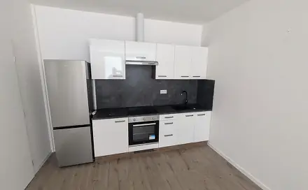 Pronájem bytu 2+kk 42 m², Františka Halase, Most