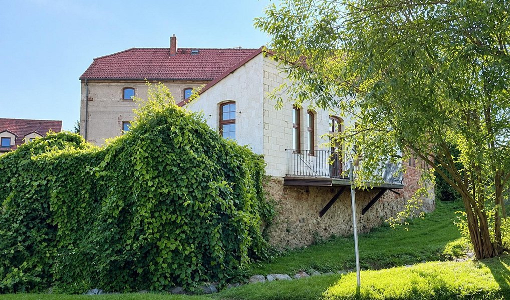 Pronájem skladovacích prostor 1 500 m², Praha – náhled fotky 3