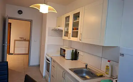 Pronájem pokoje 22 m², Dělnická, Praha 7 - Holešovice