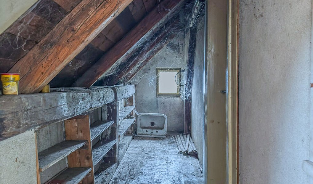 Prodej domu 240 m² s pozemkem 517 m², Jílové u Držkova – náhled fotky 31