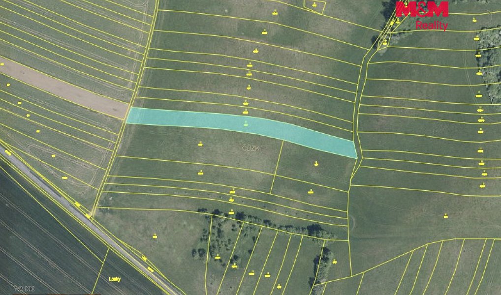 Prodej pole 18 339 m², Částkov – náhled fotky 3