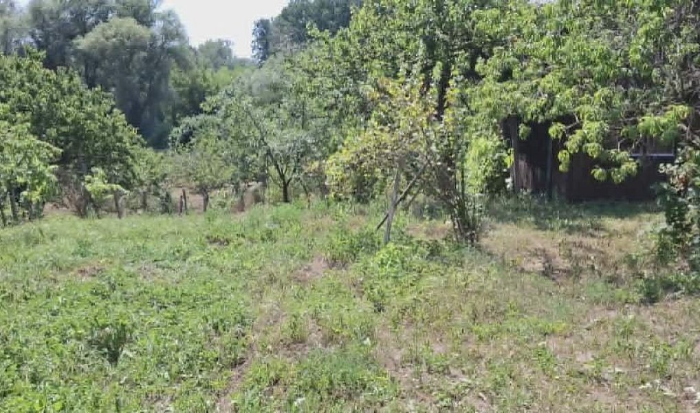 Prodej domu 350 m² s pozemkem 1 963 m², Ivaň – náhled fotky 40