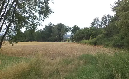 Dražba stavebního pozemku 1 100 m², Sulislav