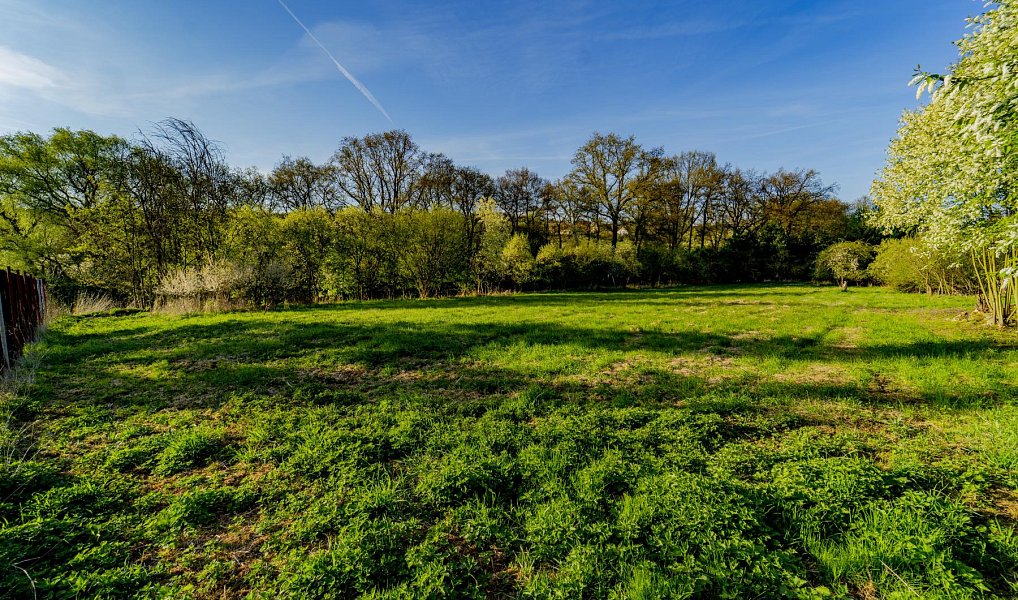 Prodej stavebního pozemku 3 831 m², Svojetín – náhled fotky 7