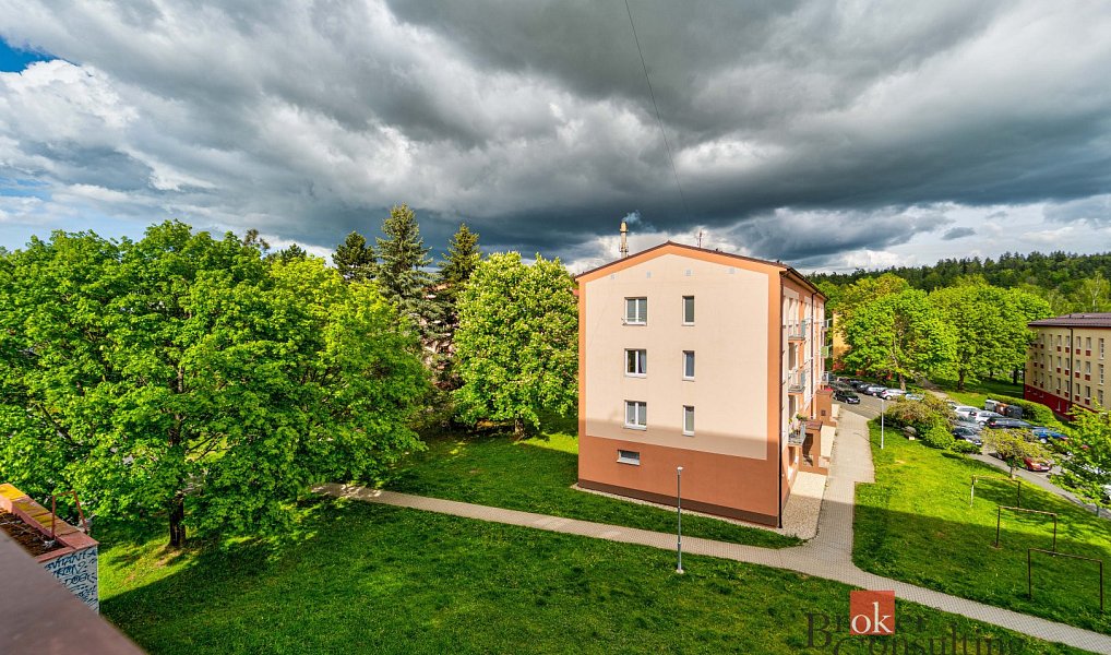 Prodej bytu 2+1 58 m², Planá – náhled fotky 12