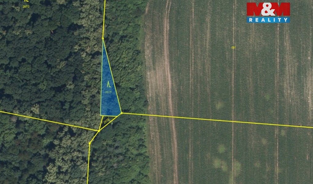 Prodej lesa 5 857 m², Kounice – náhled fotky 8