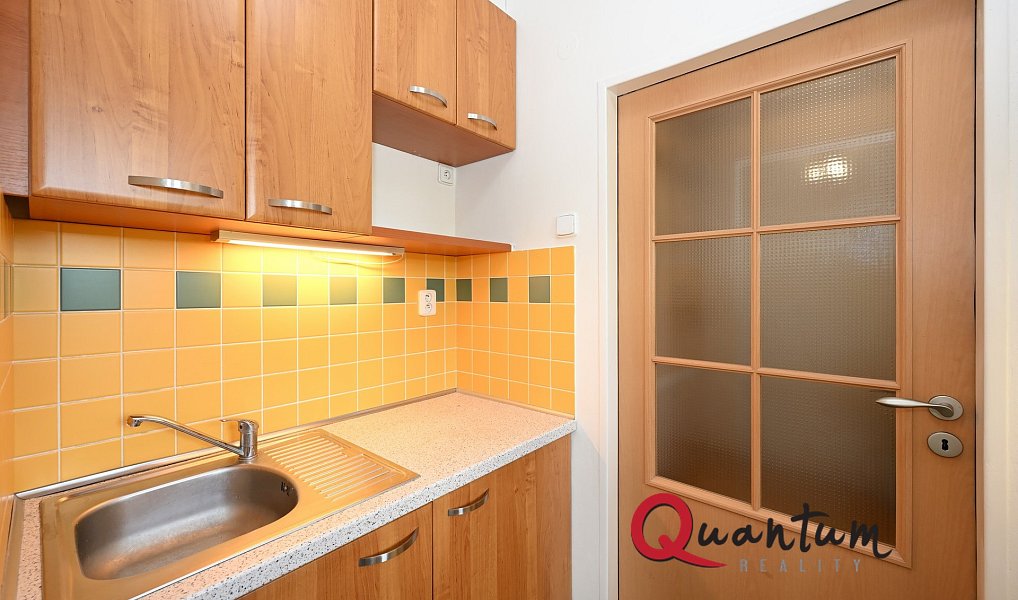Pronájem bytu 1+kk 26 m², Praha – náhled fotky 9