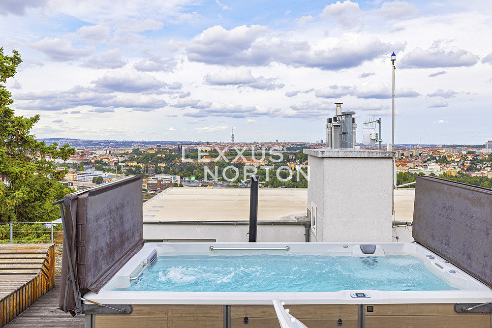 Pronájem bytu 5+kk 202 m² – fotografie 3