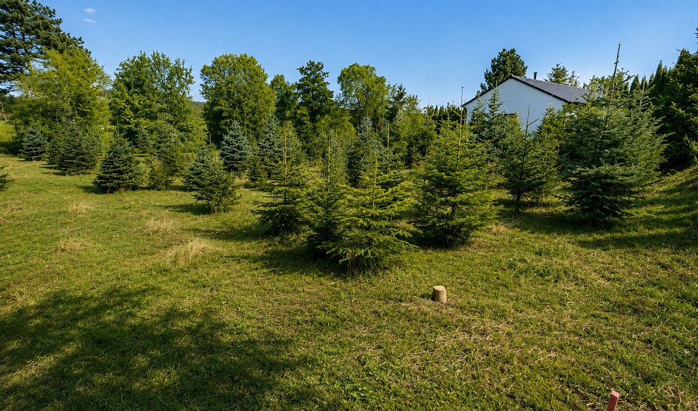 Prodej stavebního pozemku 971 m², Popůvky – náhled fotky 17