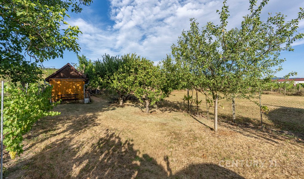 Vinný sklep 83m2, pozemky 8.420m2, Blatnice pod Svatým Antonínkem, Blatnice pod Svatým Antonínkem – náhled fotky 14