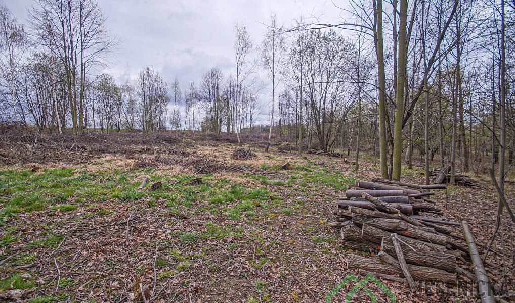 Prodej pole 6 787 m², Mikulovice – náhled fotky 13