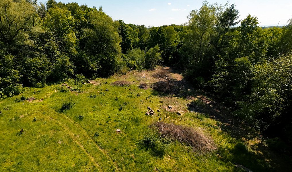 Prodej zahrady 2 646 m², Orlová – náhled fotky 2