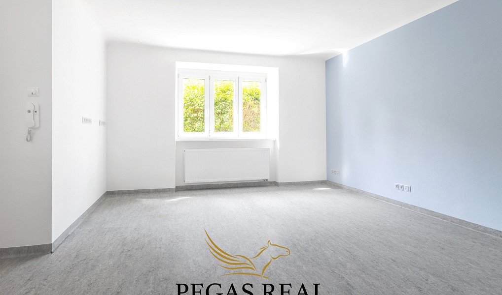 Prodej bytu 3+kk 57 m², Brno – náhled fotky 2