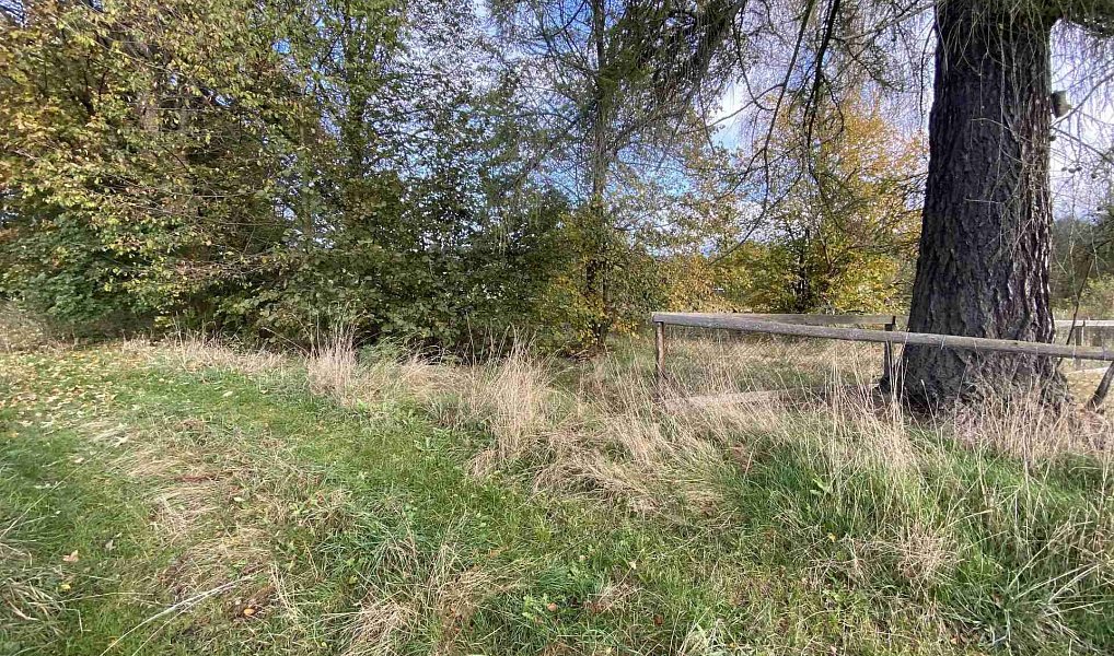 Prodej stavebního pozemku 3 207 m², Králíky – náhled fotky 5