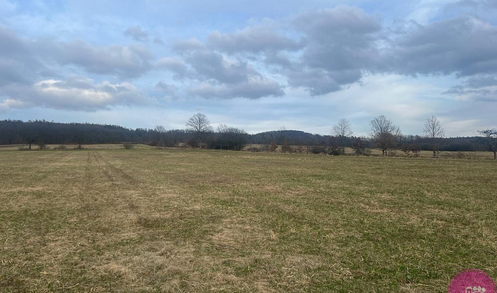 Prodej pole 13 030 m², Bělkovice-Lašťany – náhled fotky 6
