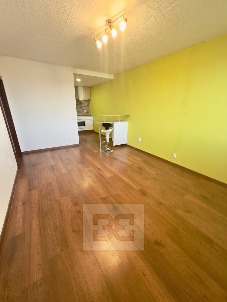 Pronájem bytu 3+kk 68 m² – fotografie 3