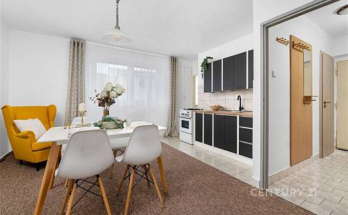 Prodej bytu 2+1 57 m², Brněnská, Klobouky u Brna, okres Břeclav