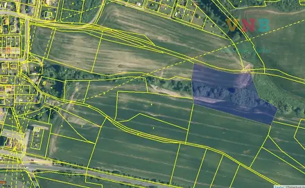 Prodej pole 13 276 m², Nepomuk, okres Plzeň-Jih