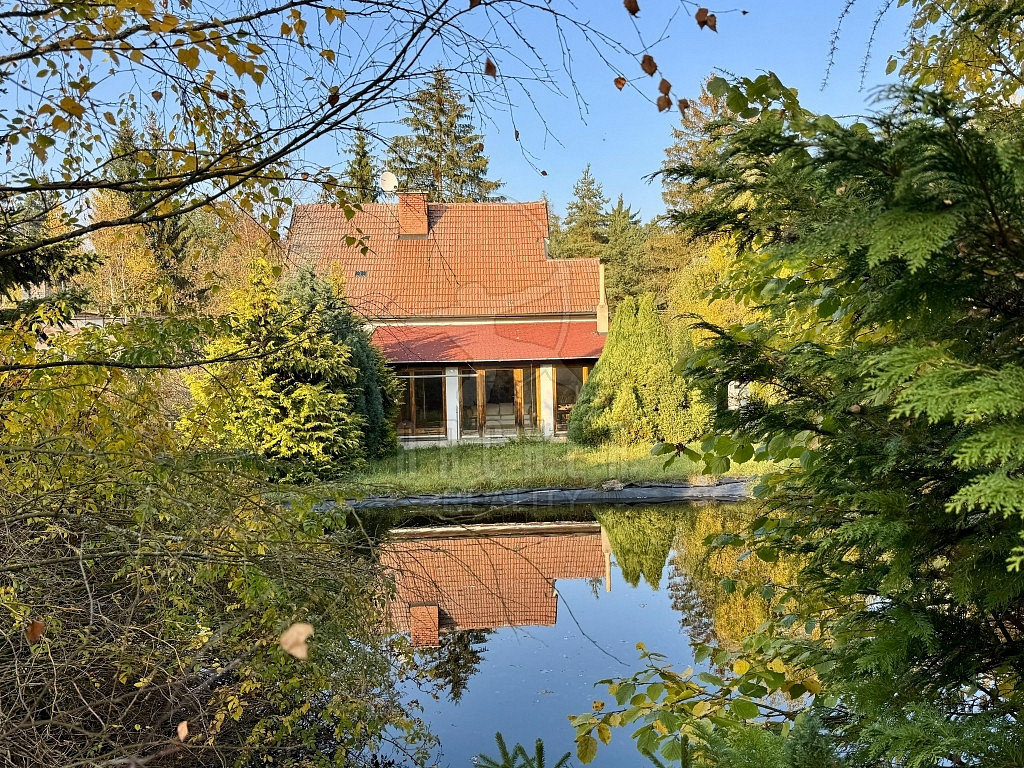 Fotka 14 z 29