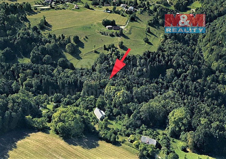 Prodej lesa 2 062 m²