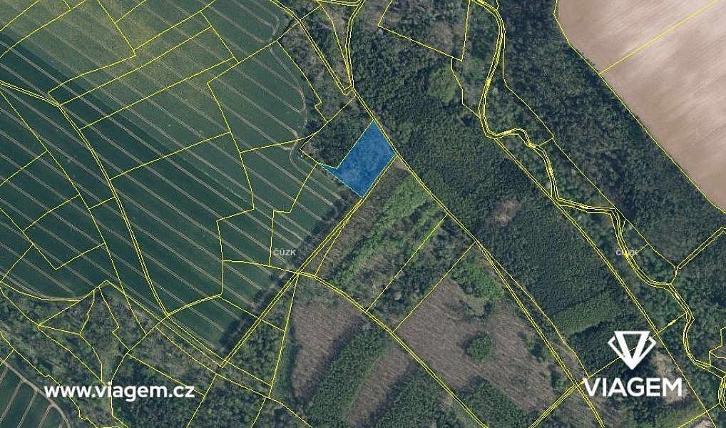 Prodej lesa 980 m², Mělnické Vtelno – náhled fotky 3