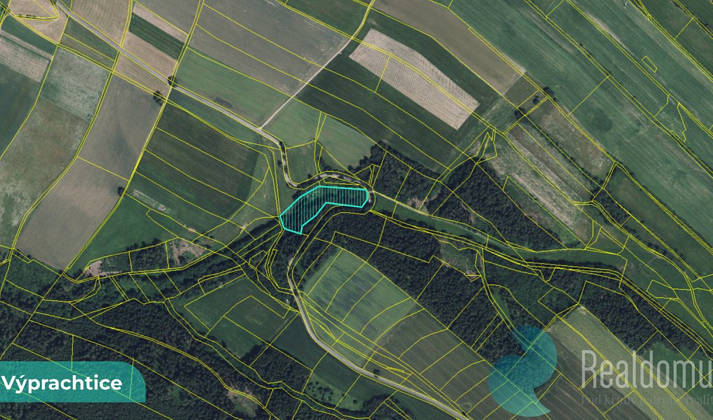 Prodej louky 6 838 m², Výprachtice – náhled fotky 3