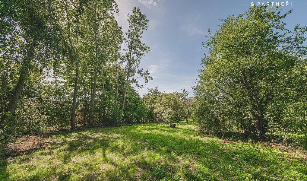 Prodej domu 300 m² s pozemkem 5 559 m², Hořice – náhled fotky 24