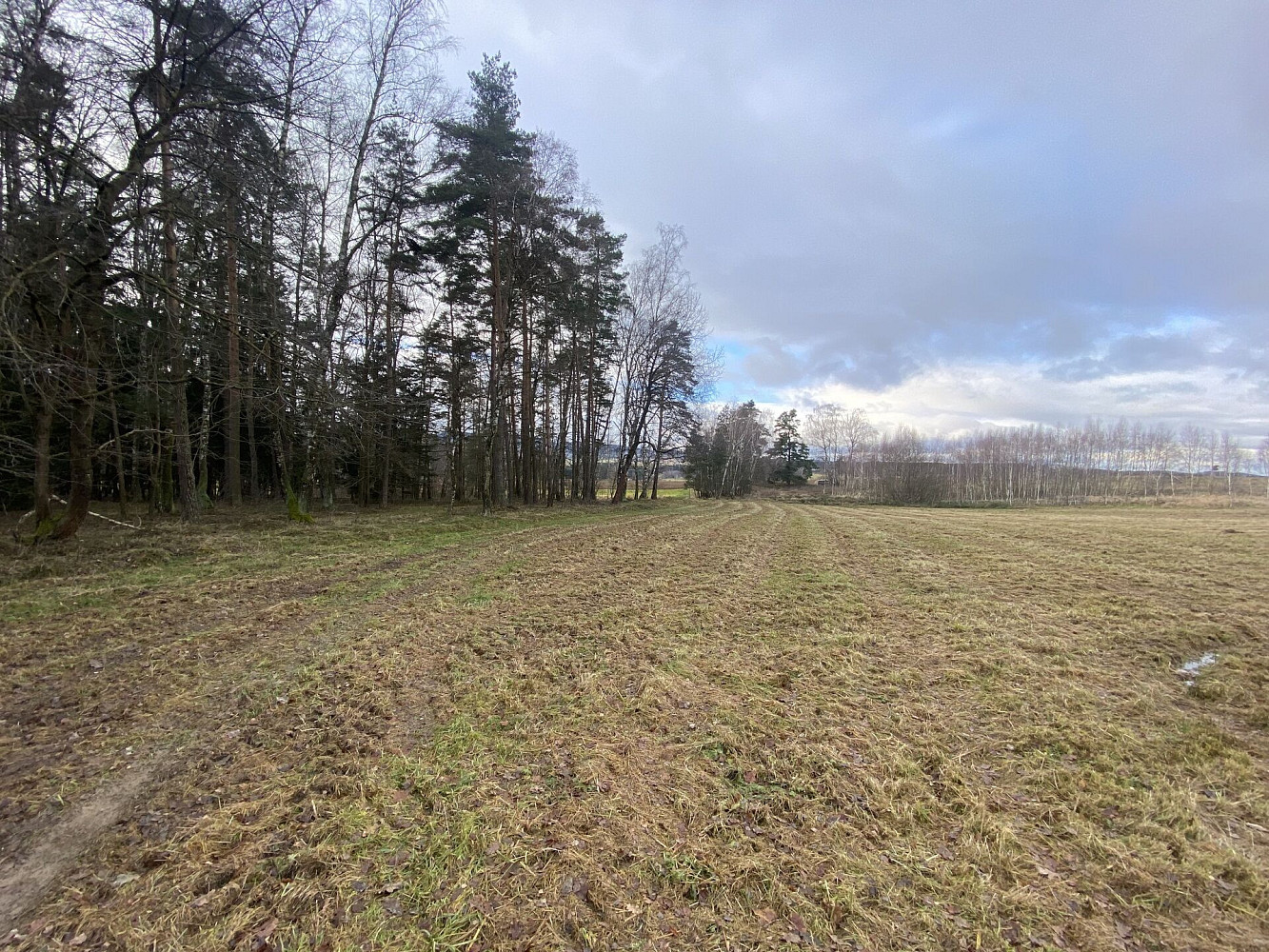 Prodej pozemku 11 526 m² – fotografie 2