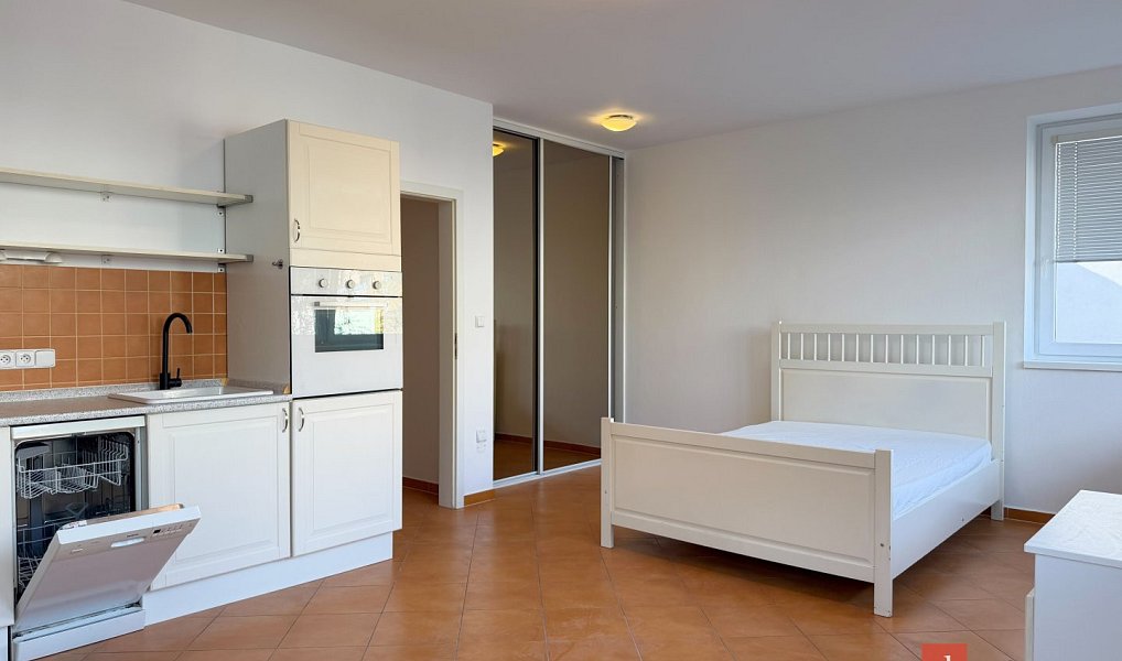 Pronájem bytu 1+kk 33 m², Plzeň – náhled fotky 3