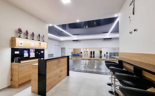 Pronájem komerčního objektu (jiného typu) 233 m², Sukova, Brno - Brno-město